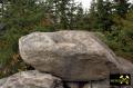 Napfsteine zw. Burgsteinfelsen und Kaiserfelsen bei Bad Alexandersbad im Fichtelgebirge, Bayern, (D) (9) - 03.09.2016.JPG